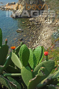 Bay at Palamos